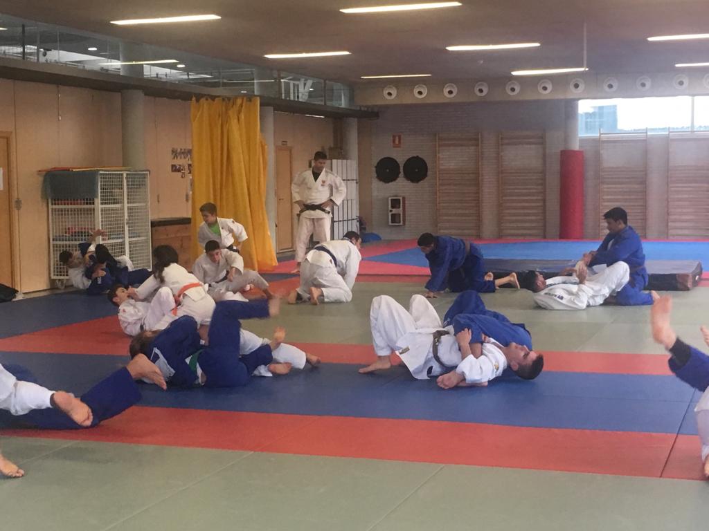 Concentraci&oacute;n Judo Navidad _Pamplona 2, 3 y 4 de enero 2019